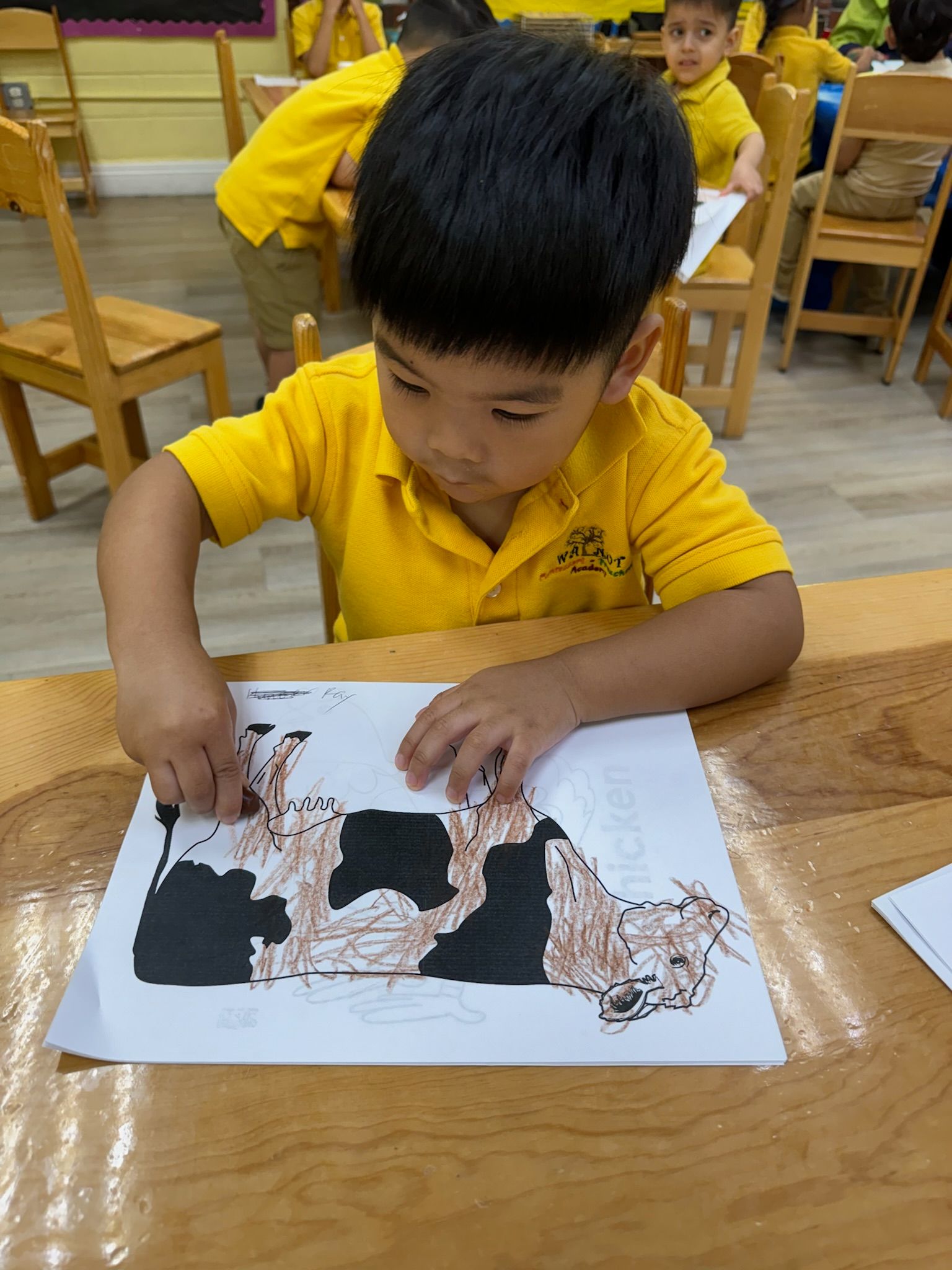 Hands-on learning at Walnut Montessori